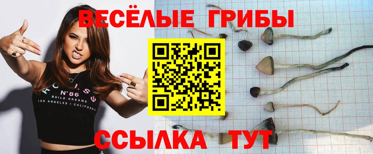 Псилоцибиновые грибы ЛСД Абакан